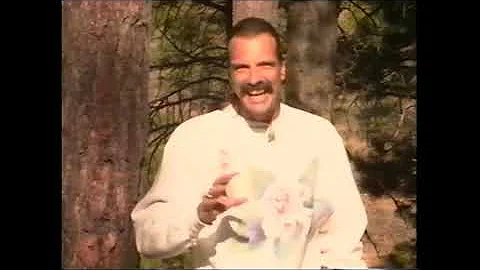 The Magic of Healing - by Dennis Adams, Master hea...
