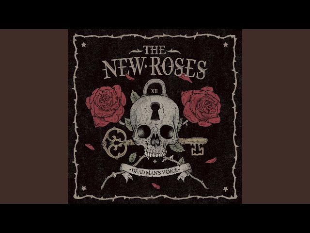 The New Roses - Try