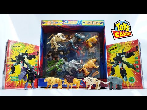 Mini Transformers Beast Wars Knockoff Toys Review หุ่นประกอบสัตว์แปลงร่าง