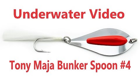 UNDERWATER VIDEO | Tony Maja Bunker Spoon in Action - Part 1