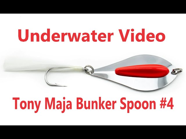 UNDERWATER VIDEO  Tony Maja Bunker Spoon in Action - Part 1 