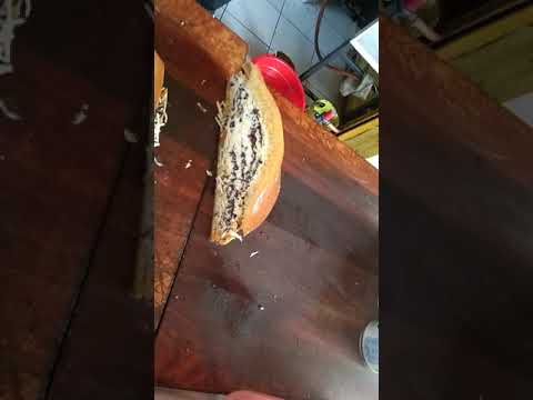 Martabak 777 Sinar Bulan South Tangerang City Menu