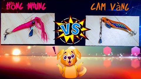 Câu Bạch Tuộc đêm ở Nhật-P2