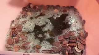Metal Detecting : Beginner to Beginner = Penny Bath