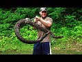 PITTSBURGH GOES RATTLESNAKE HUNTING - North Hill Boys 2018 Pennsylvania