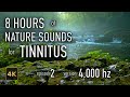 8 Hours Nature Sounds for Tinnitus — EP 2 | [4,000 Hz] | 4K HDR10 - E02-4000