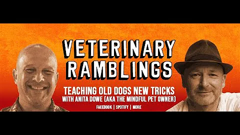 Teaching Old Dogs New Tricks With Anita Dowe (AKA ...