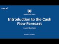 Pro Forma Cash Flows Statement -ind 4-3