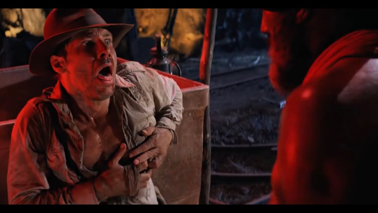 8 foot kangaroo leather bull whip review