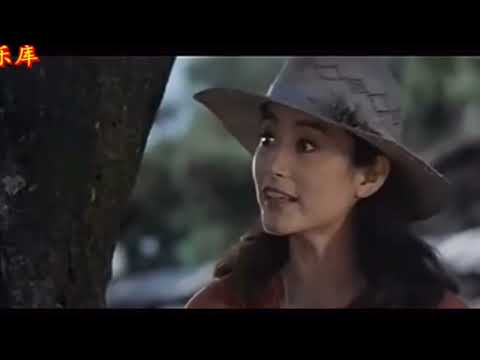 秦汉与林青霞这对70年代银幕情侣合作的电影回顾展！