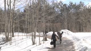 Kingston Life: Maple Madness