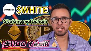Guía visual 2026: entiende el staking de WHITE token en 3 minutos