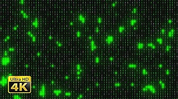 Programming Network Internet Hacker | Stock Videos For Editing Free| No Copyright Videos For Youtube