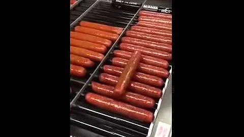 Tt Hotdog