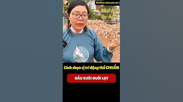 Chọn đúng vị trí động thổ xây nhà để Đầu xuôi đuôi lọtl Cô Chi Phong Thủy #shorts