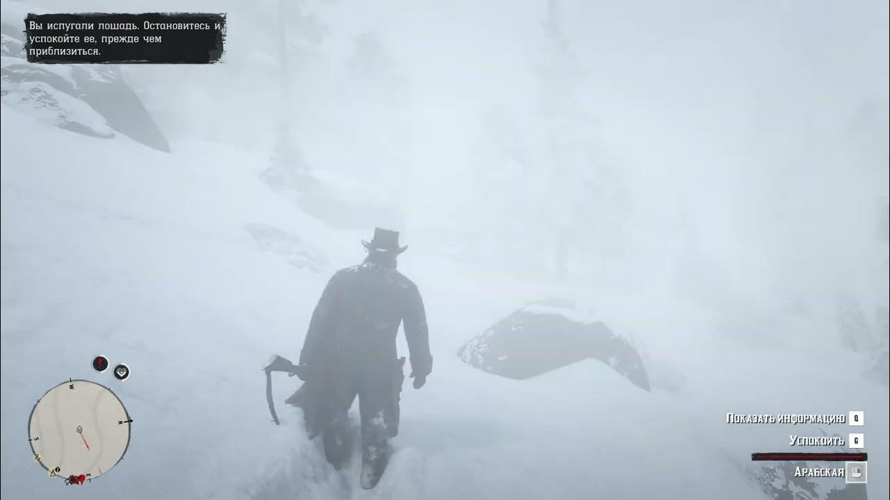 Рдр 2 где найти самую лучшую лошадь. Где найти лучшую лошадь в rdr 2.