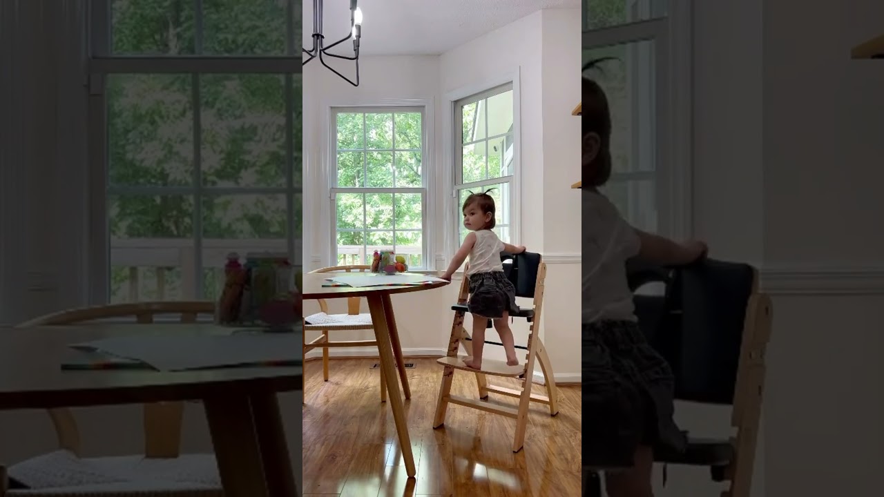 Favorite Toddler Highchair! 