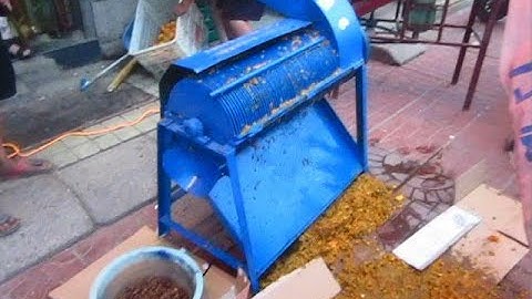 almond meat kernel separator apricot kernel shelling machine