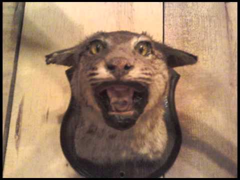 Dead Winter Carpenters - One Foot In The Gutter (album version)