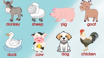 Farm Animals | Bé học tiếng Anh tên các Con vật trong nông trại | Oh Vui Kids