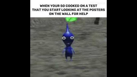 When you’re so cooked on a test, you have to look at the posters for help ￼￼