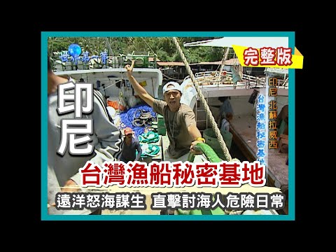 【印尼】北蘇拉威西 台灣漁船秘密基地（美娜多海海釣／魚餌冷凍工廠）｜《世界第一等》64集小馬完整版