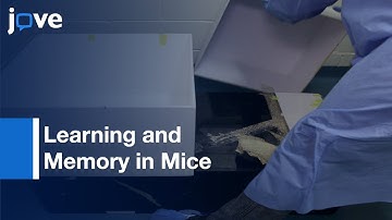 Learning and Memory in Mice