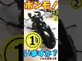 【ホンモノはどれでしょう?第15弾】今回、全部オモチャ!?