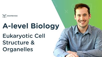 Eukaryotic Cell Structure & Organelles | A-level Biology | OCR, AQA, Edexcel
