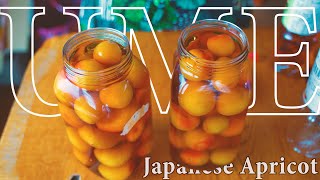 梅料理づくし｜梅シロップ, 梅ジャム, 梅の酢漬け, 梅味噌｜ASMR