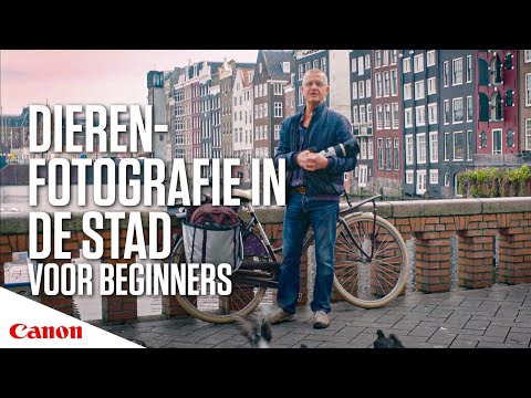 Video: Hoe Fotografeer Je In De Stad
