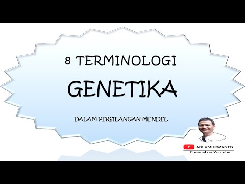 Video: Mengapa Mendel disebut sebagai bapak genetika?