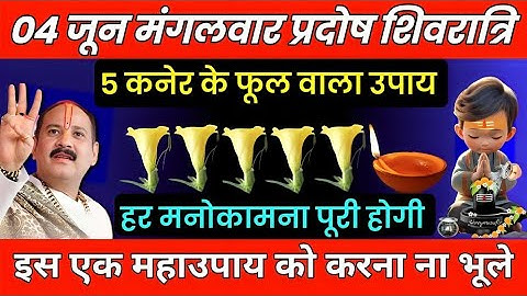 4 जून मंगलवार प्रदोष व्रत पर करें 5 कनेर के फूल वाला उपाय सालो मे मिलता है ऐसा मौका #pradeepjimishra