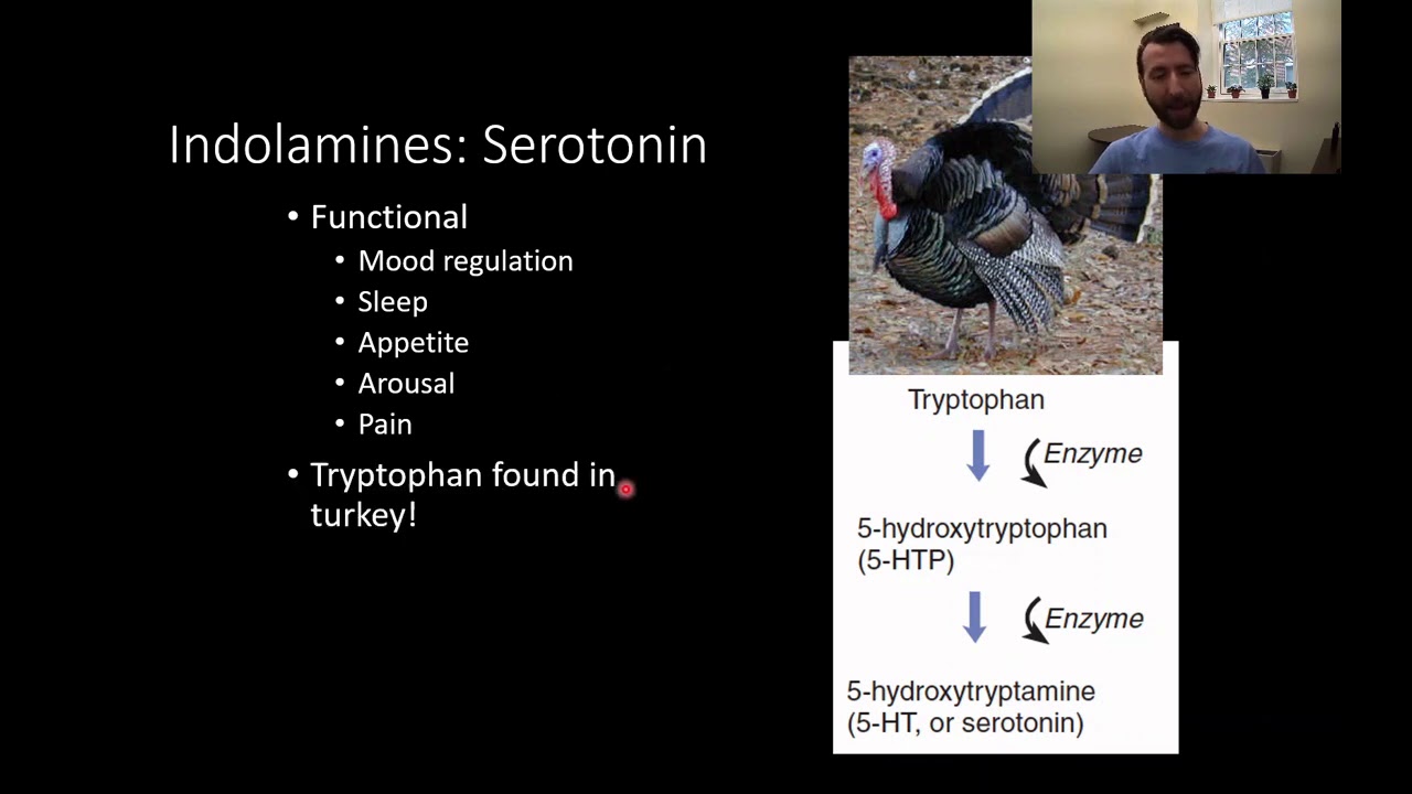 PSY210 CH4PT5: Psychopharmacology: Monoamines - YouTube