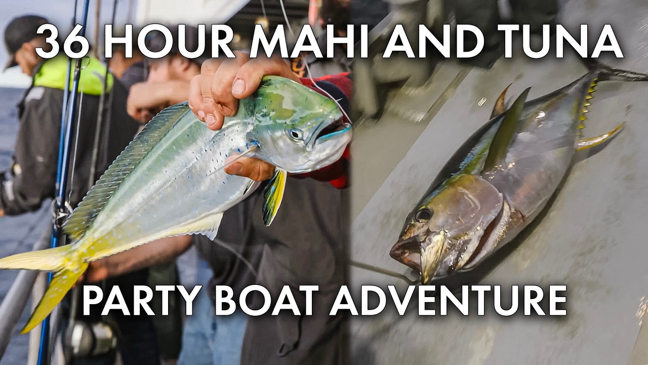 36 Hour Mahi Mahi and Yellowfin Tuna Trip on the Helen H