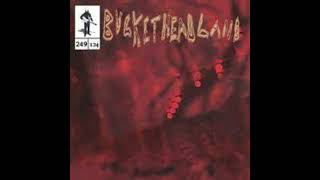 Buckethead - Sunless Stream