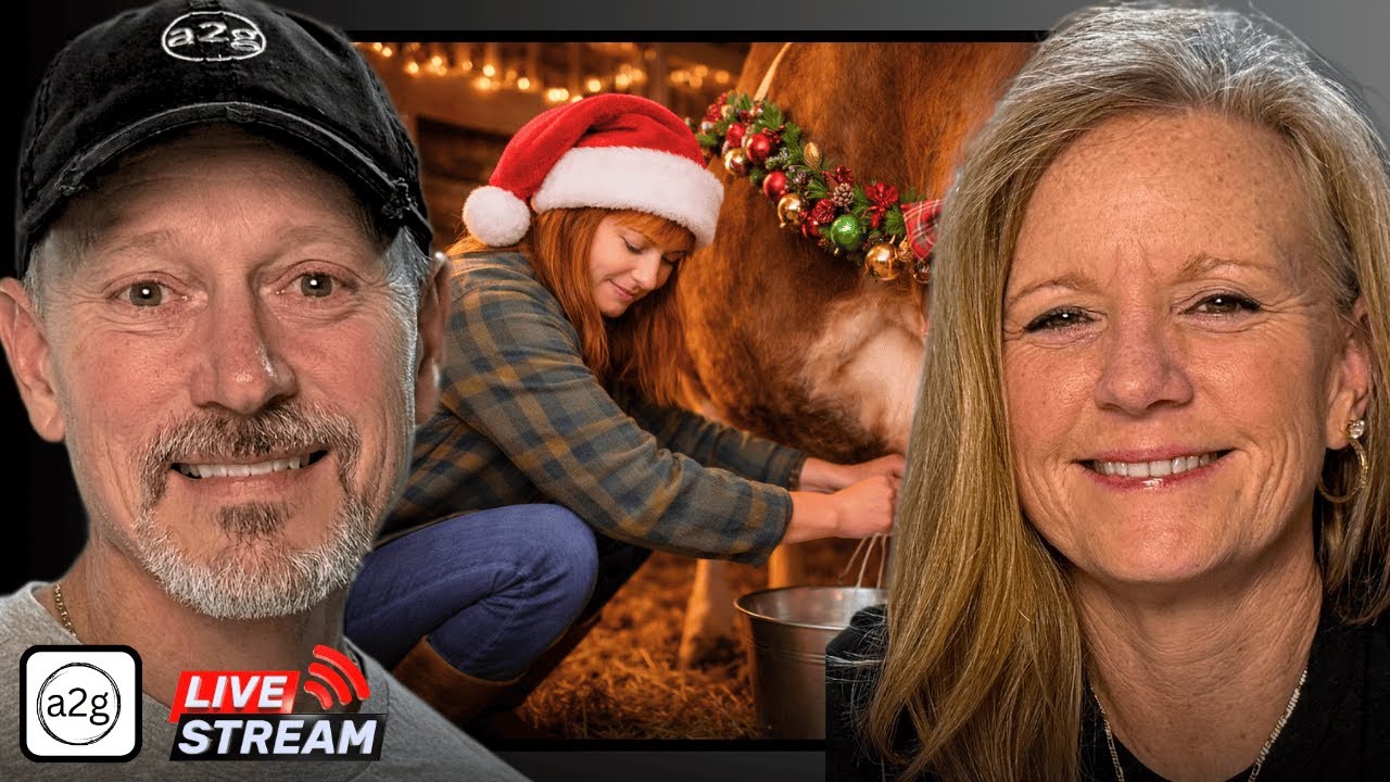 The Animals Don't Take Christmas Off!