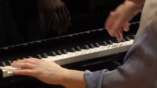 Karol Szymanowski: Variations on a Polish Folk Theme in B Minor, Op. 10