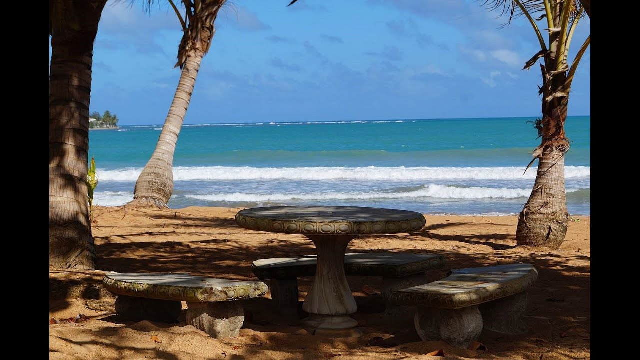 Beach Front Condo Sale Rio Grande Puerto Rico Apartamento Playa