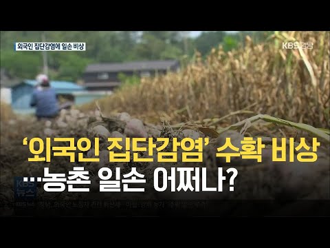 창녕 외국인 확진자 속출…일손 부족 비상! / KBS 2021.06.08.