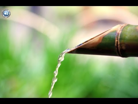 Video: Je li bambusova vlakna ekološki prihvatljiva?