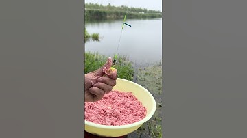 Tại Sao Lưỡi Câu Cá Mè 2 Trong 1 Là Lựa Chọn TỐT NHẤT 2025 #fishing #shorts #caucathugian