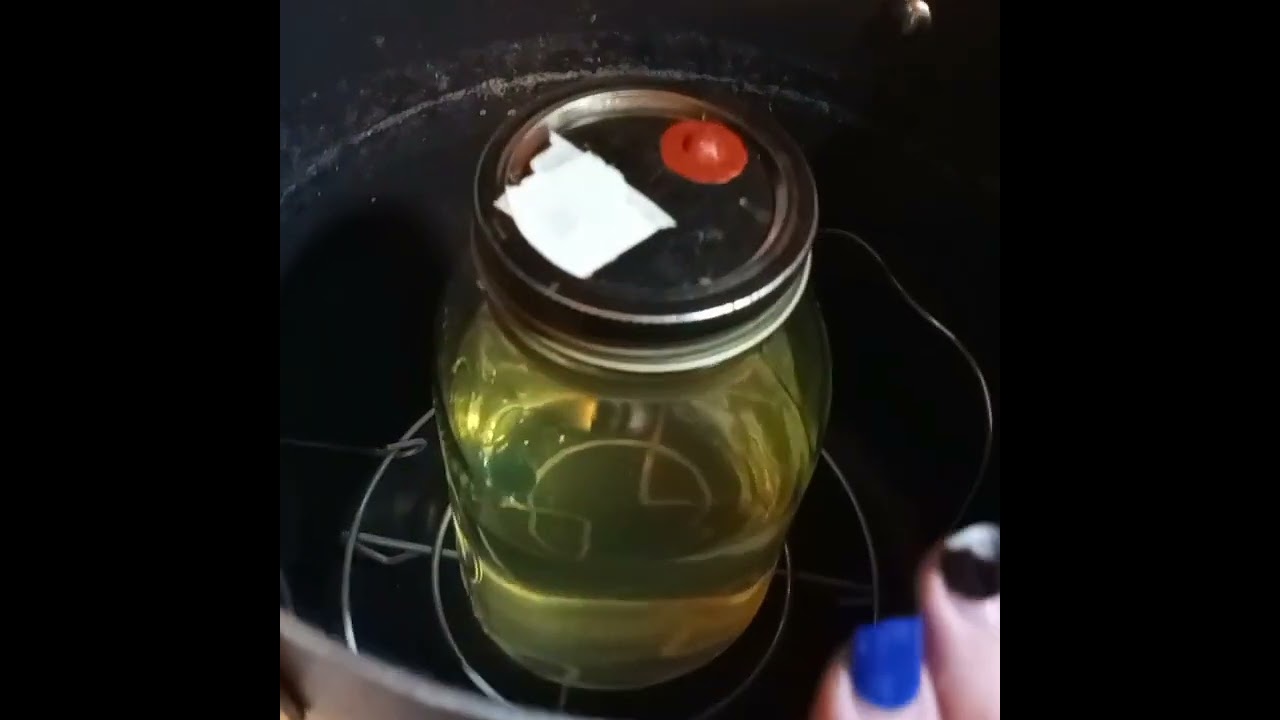 Quick and easy liquid culture