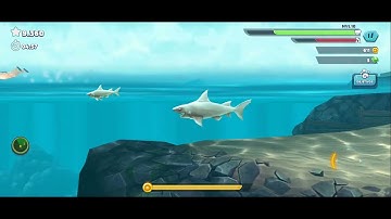 Hungry Shark - Gameplay Walkthrough Part 2 - (iOS, Android)