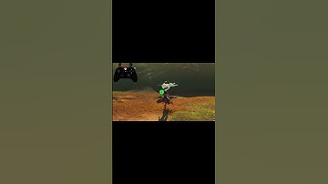 someone explain this #zelda #gaming #zeldabotw #nintendo #botw #wierd #botw #breathofthewildclip