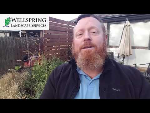 Freeze Damage Pruning