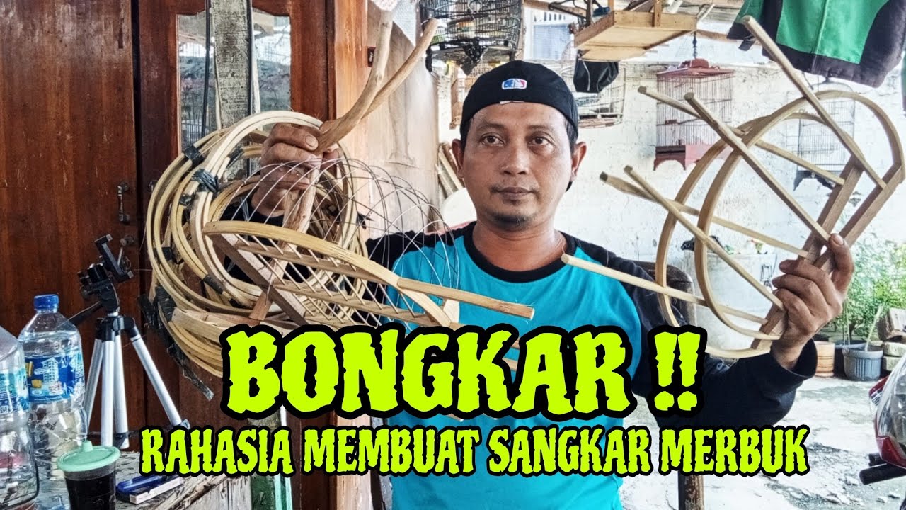 Bongkar rahasia sangkar merbuk perkutut