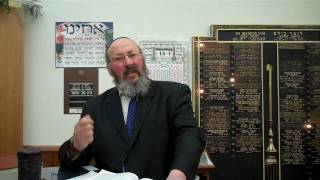 Rabbi Schwarzbaum on Pesach.mp4