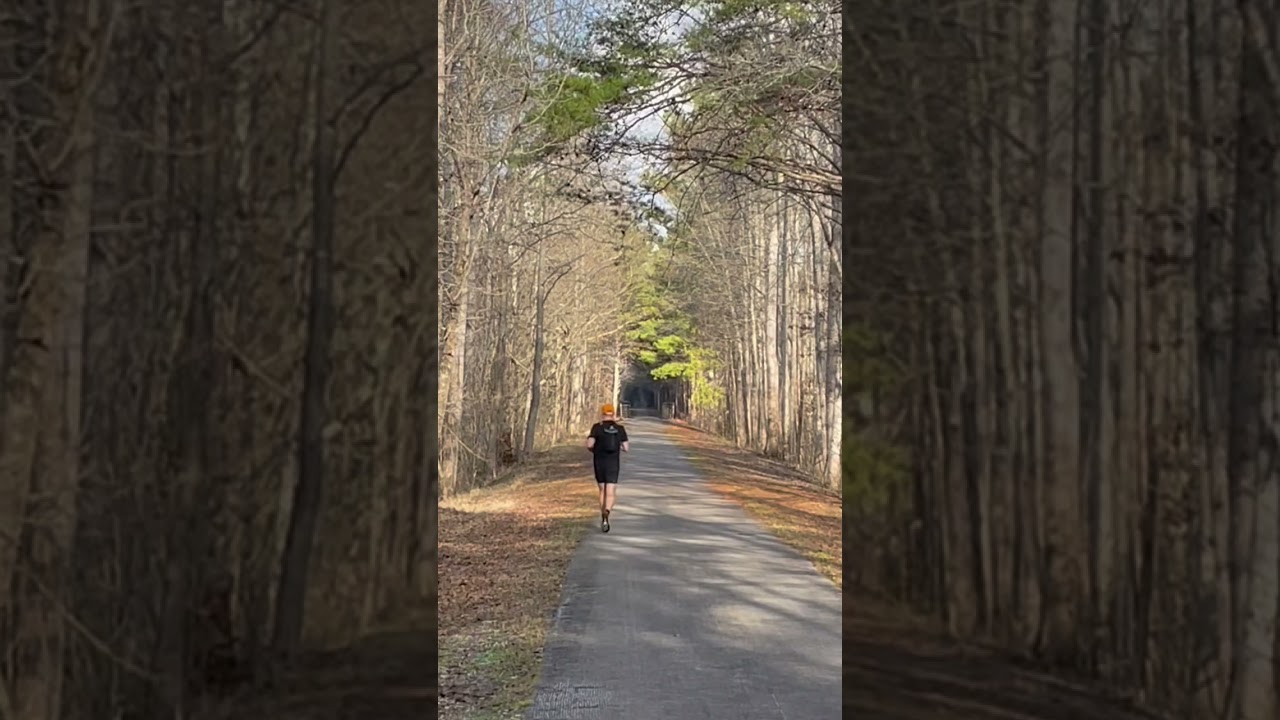 Pinhoti Trail Thru-Run Section 12 ~ Part 1