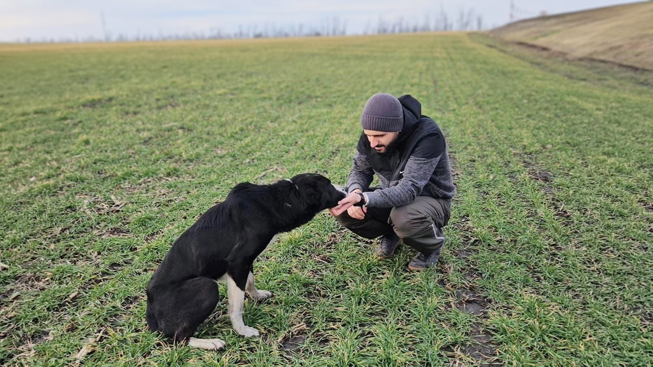 She Crawled Closer, Begging for Help… We Never Expected This